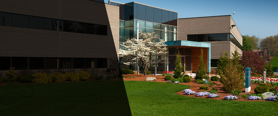 Island Park Landscapers