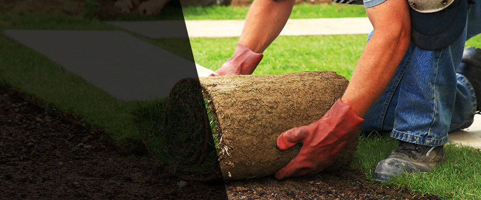 Island Park Landscapers